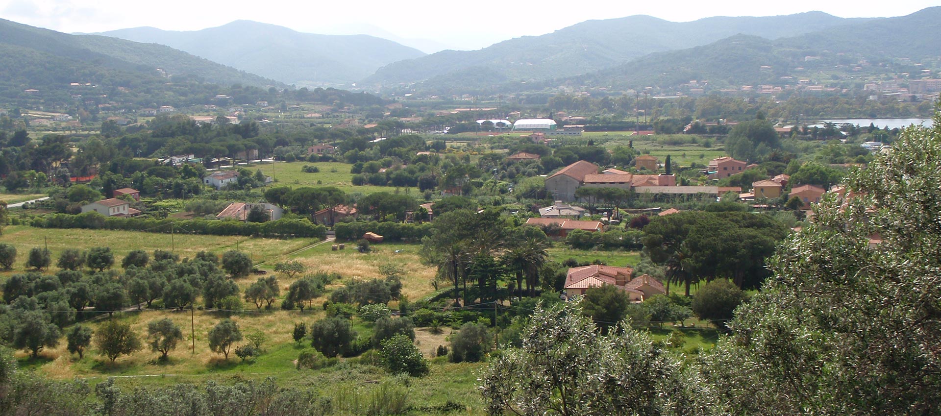 Isola d'Elba